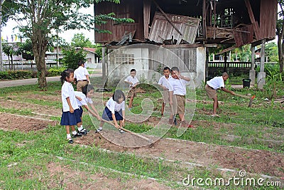 Take seeds to grow. Editorial Stock Photo